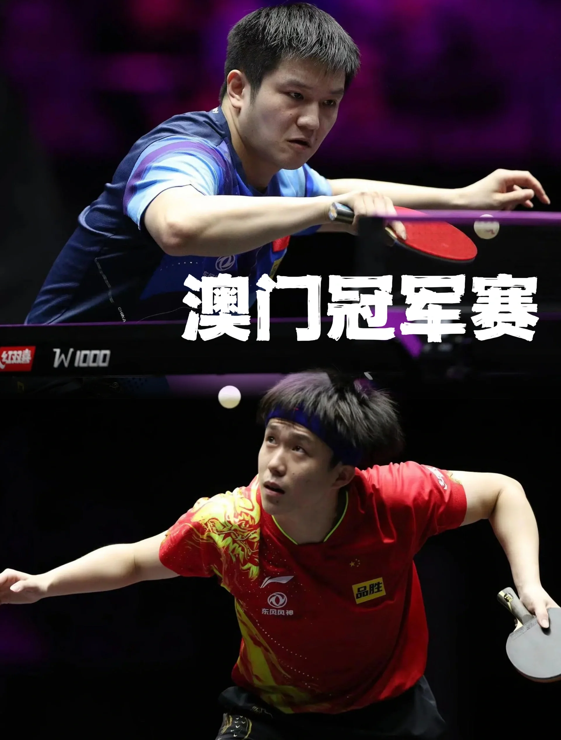 法国乒乓球队鏖战奥地利乒乓球队,樊振东爆发神勇的简单介绍 法国乒乓球队鏖战奥地利乒乓球队,樊振东爆发神勇的简单介绍